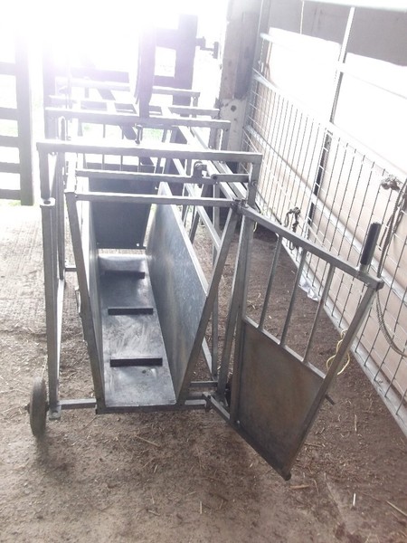 Sheep Weighing Scales for sale in UK | View 15 bargains