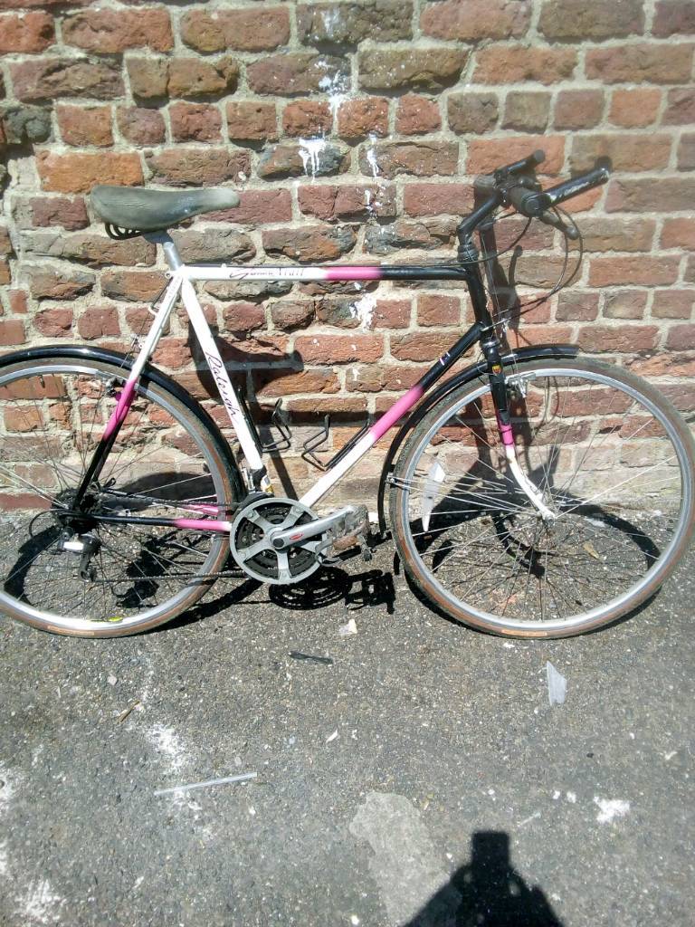 raleigh trekking bike