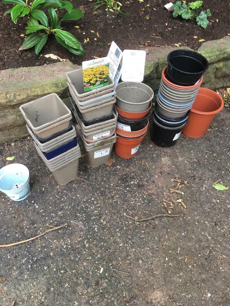 free plant pots near me