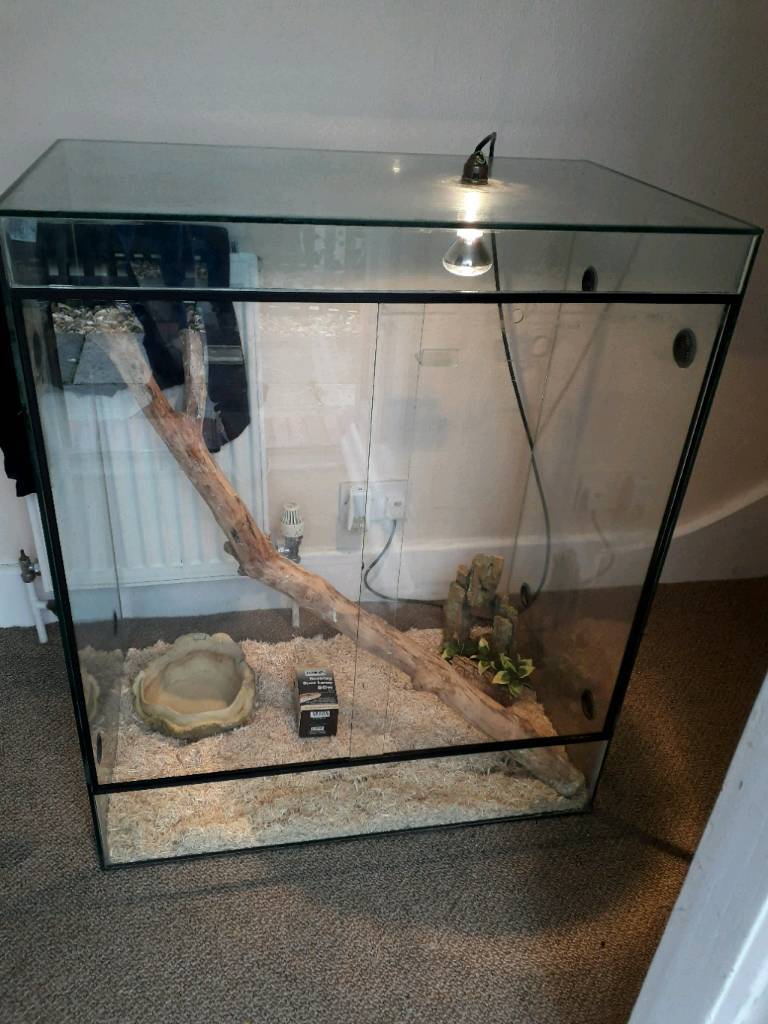 Large glass vivarium for sale in Eltham, London Gumtree