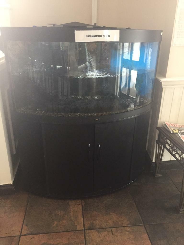 Juwel Trigon 350 fish tank aquarium with cupboard in Croydon, London