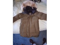 canada goose gumtree manchester canada goose gumtree manchester