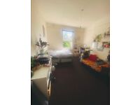 2 week sublet: 1 large double bedroom available in friendly Brixton house share 