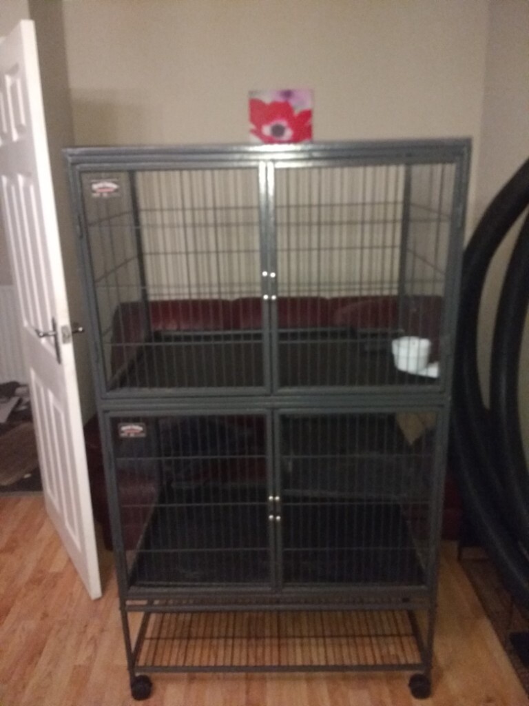 Ferret nation double tier cage | in Antrim, County Antrim | Gumtree