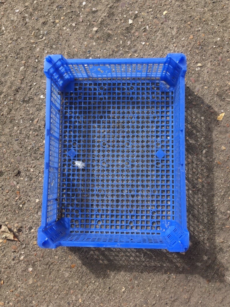 Free mushroom crates must collect city centre in Lace Market, Nottinghamshire Gumtree