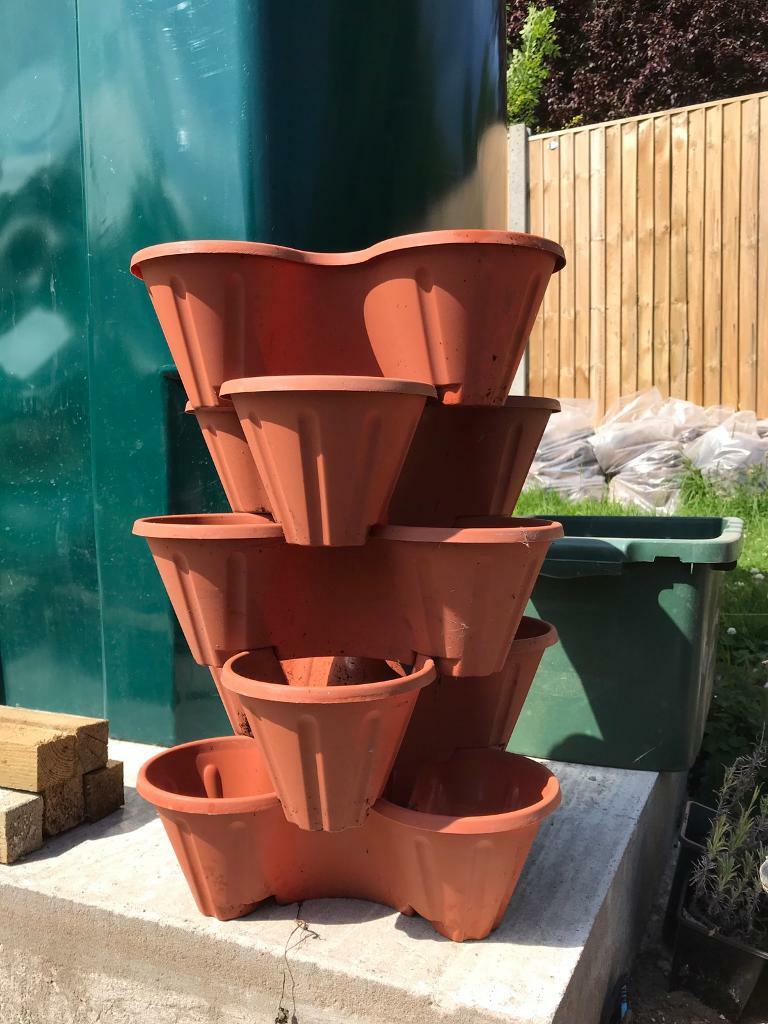 5 tier strawberry planter in Abergavenny, Monmouthshire Gumtree