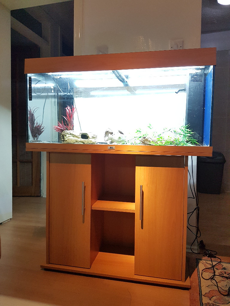 JUWEL RIO 180 LITER FISH TANK AND STAND FOR SALE,,FULL SET UP, in