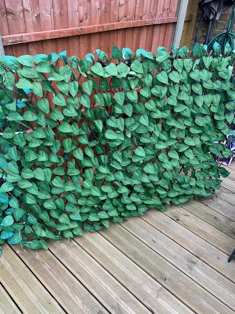 Trellis two Wilko Expanding Artificial Leaf Trellis 2m x 1m in