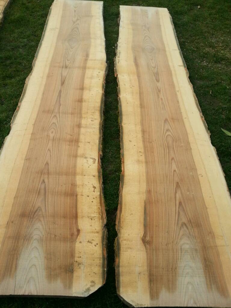 Waney edge ash slab 10ft in Hull, East Yorkshire Gumtree