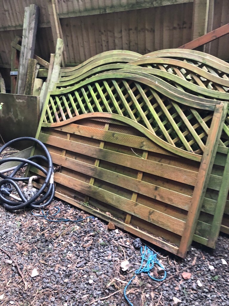 Lattice top fence panels x 11 (6 x 4ft) in Derby, Derbyshire Gumtree