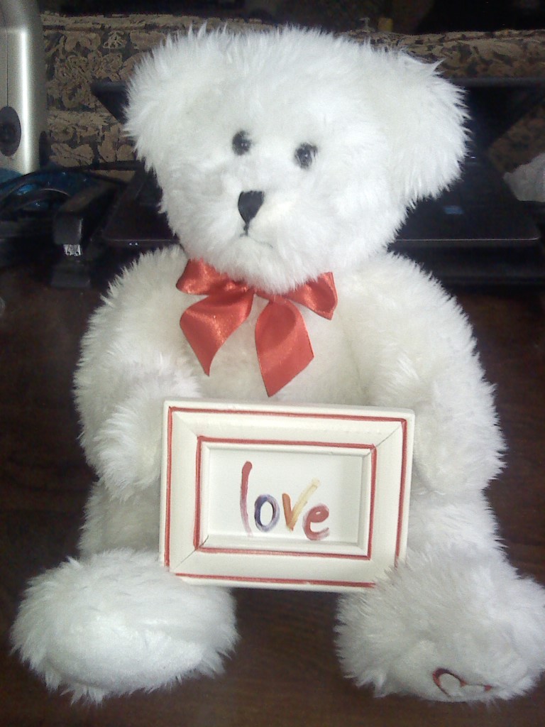 Macy's White Teddy Bear 9 1/2
