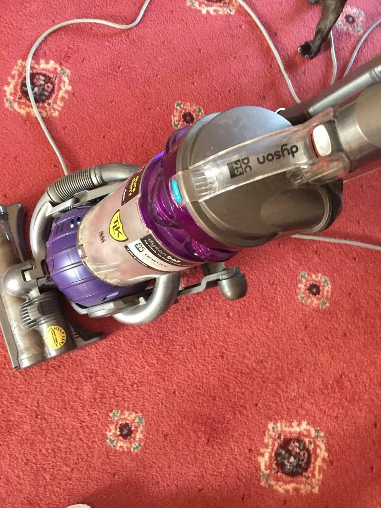 Dyson dc 25 Animal in Ecclesfield, South Yorkshire Gumtree