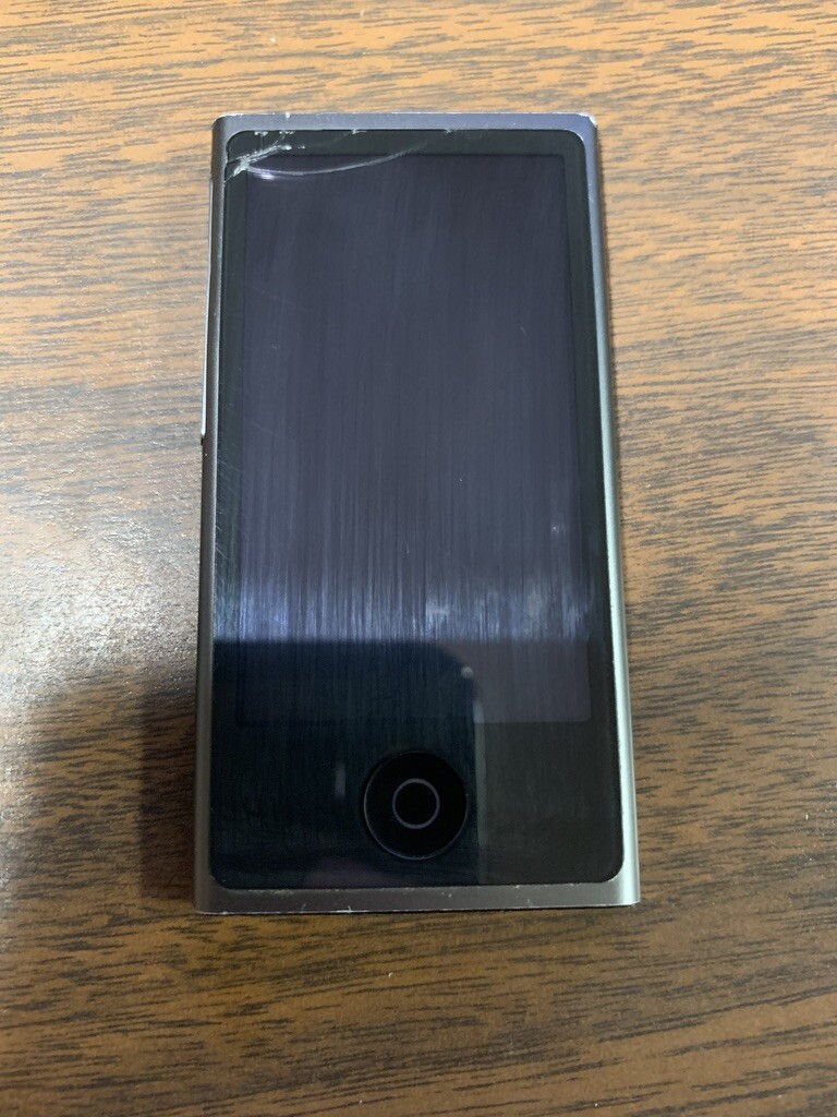 Apple iPod nano 8th Generation Slate (16 GB) Bundle - See Pictures