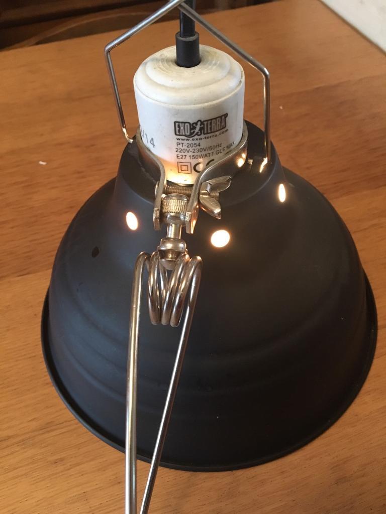Reptile lamp in Chelmsley Wood, West Midlands Gumtree