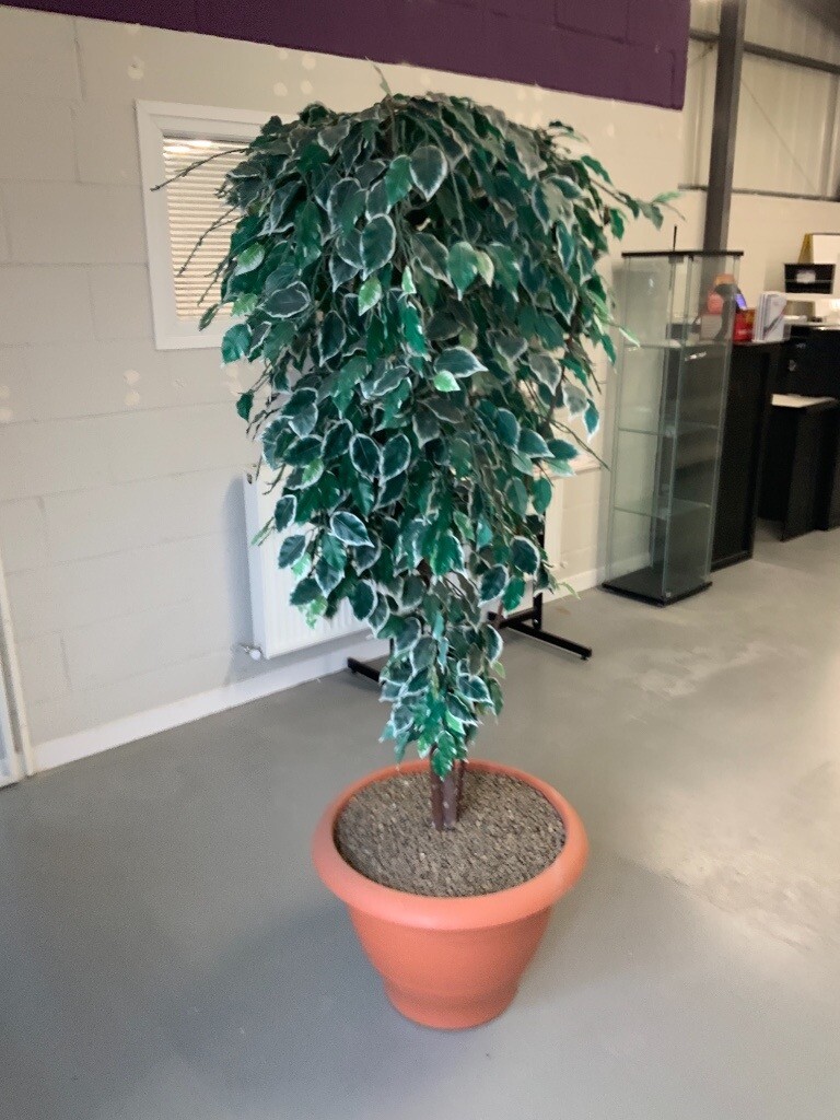 Large artificial tree plant ideal for indoors conservatory, hall etc