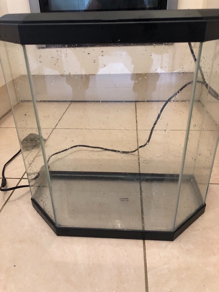Hexagon 25L Fish Tank and Accessories in Bournemouth, Dorset Gumtree