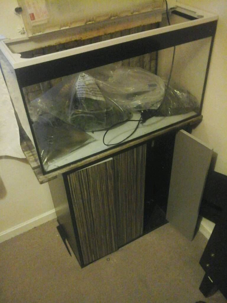 100l fish tank and stand in Marlow, Buckinghamshire Gumtree