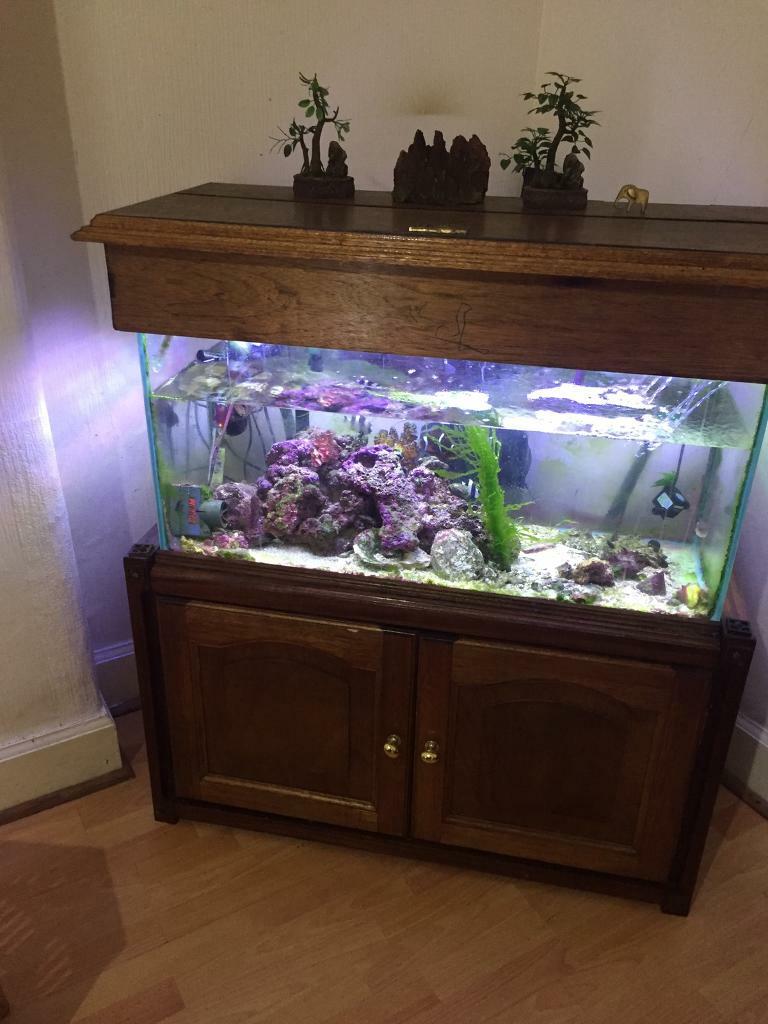 SOLD. Marine fish Tank for sale in Govan, Glasgow Gumtree