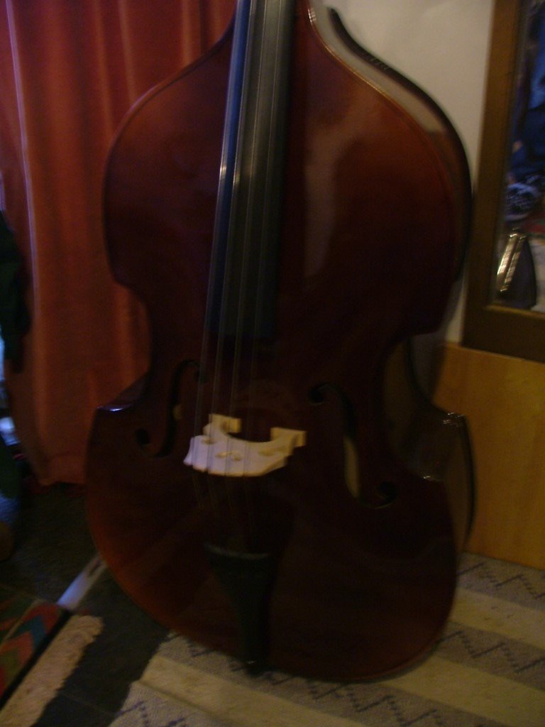 Double Bass, full size in Glastonbury, Somerset Gumtree