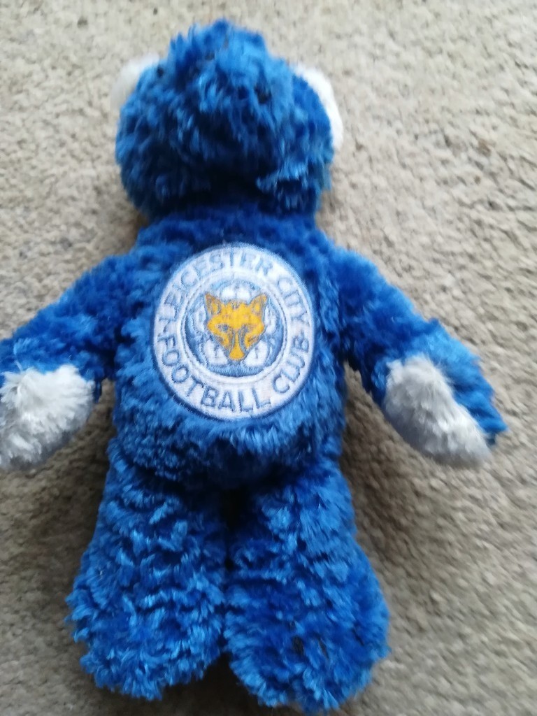 Leicester City Football Club Mascot Bear | in Havant ...