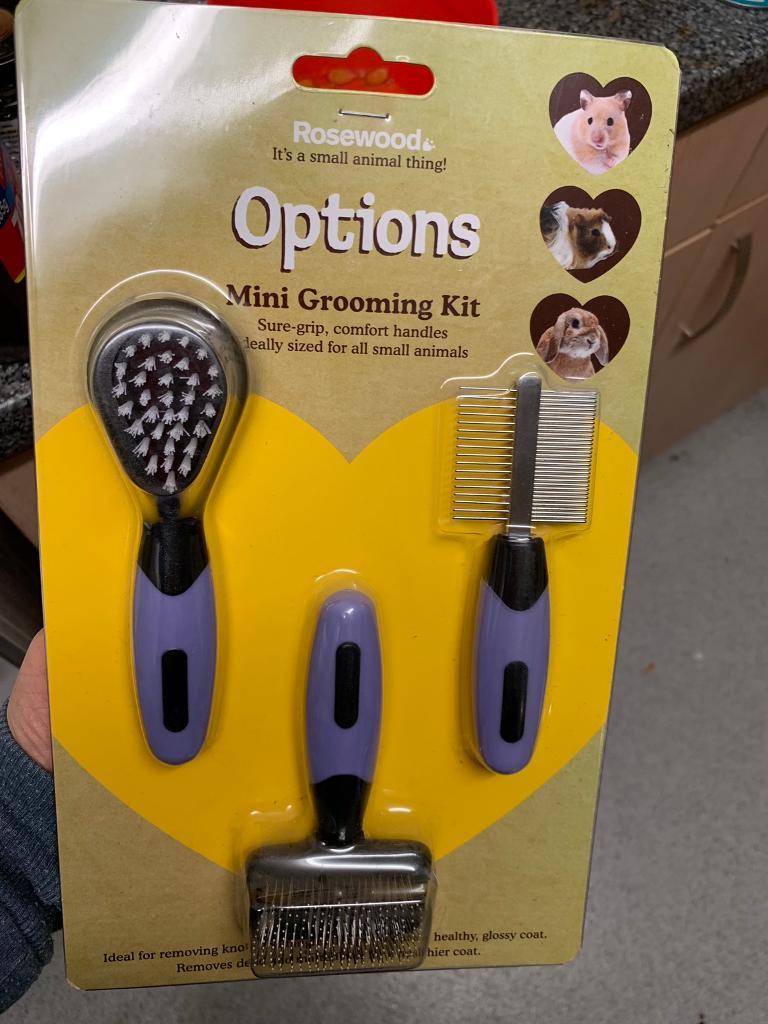 Small animals/ puppy brush set. Brand new in Kings Worthy, Hampshire Gumtree