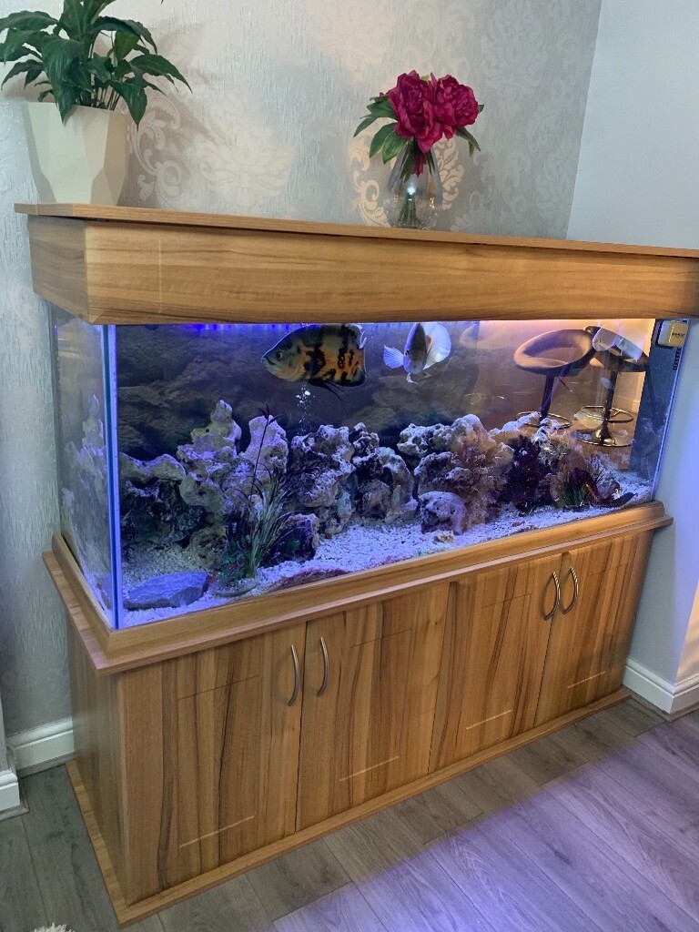 Fish tank with 5 ft and fish in Northampton, Northamptonshire