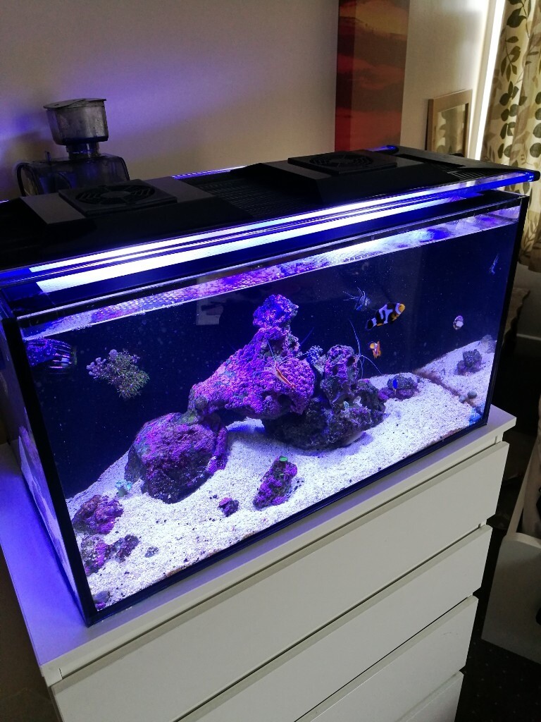 marine 80l nano tank full set up in Salford, Manchester Gumtree