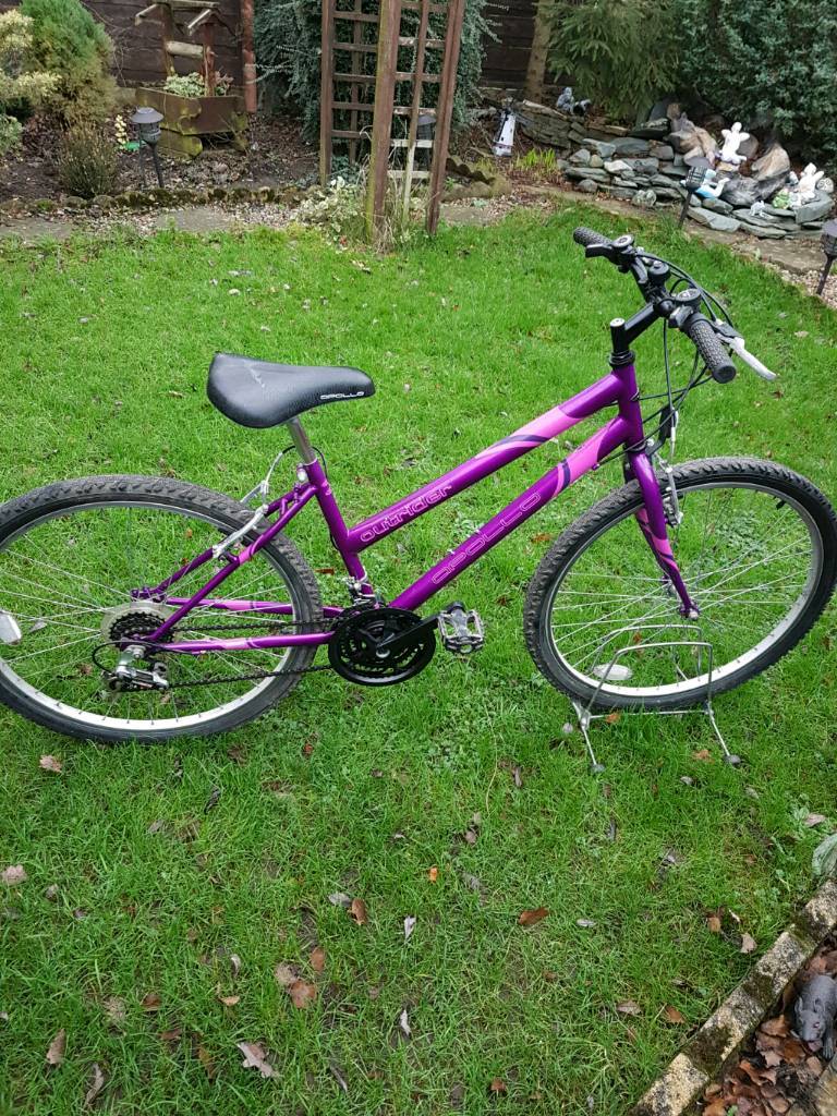mountain bike 17 frame