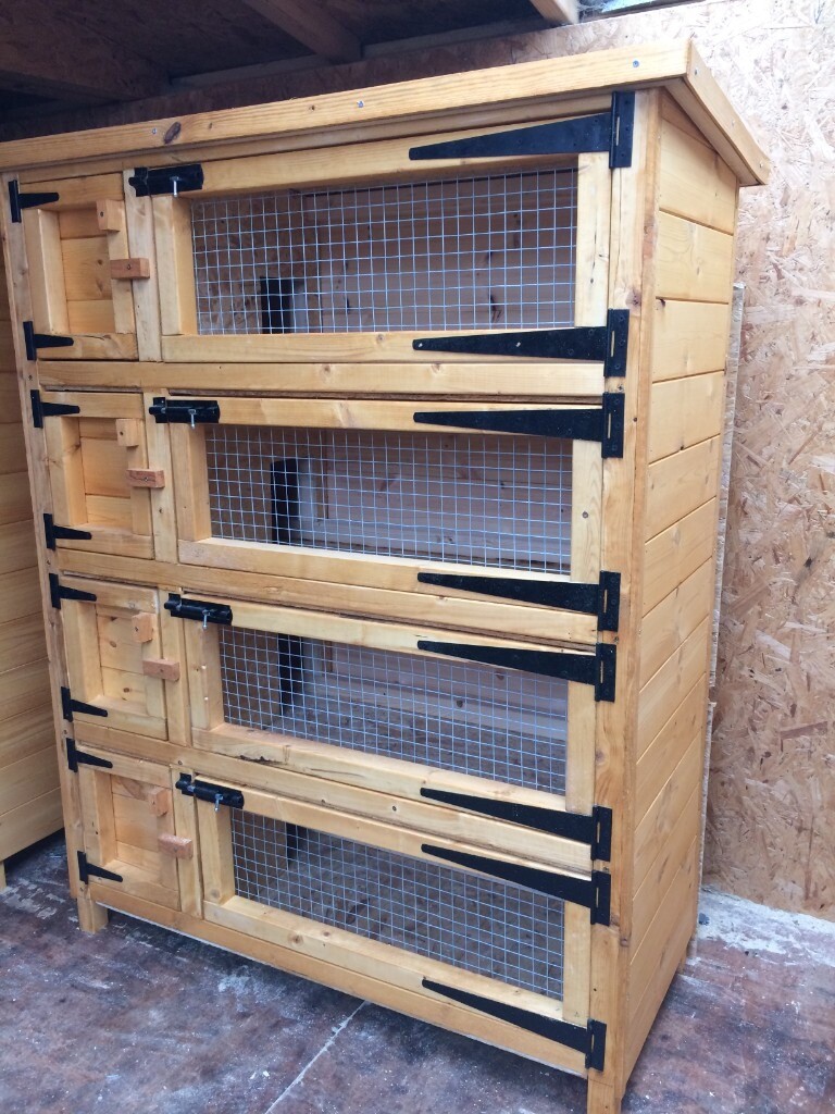 Four Tier Rabbit Hutch in SuttoninAshfield, Nottinghamshire Gumtree