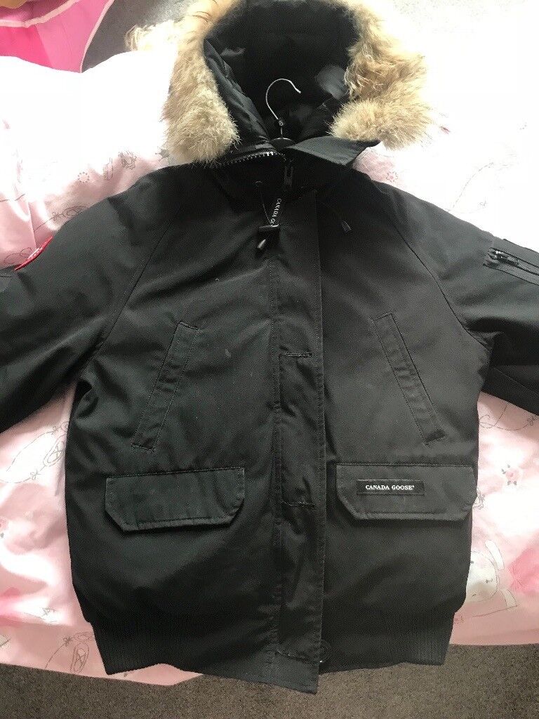 canada goose gumtree glasgow canada goose gumtree glasgow