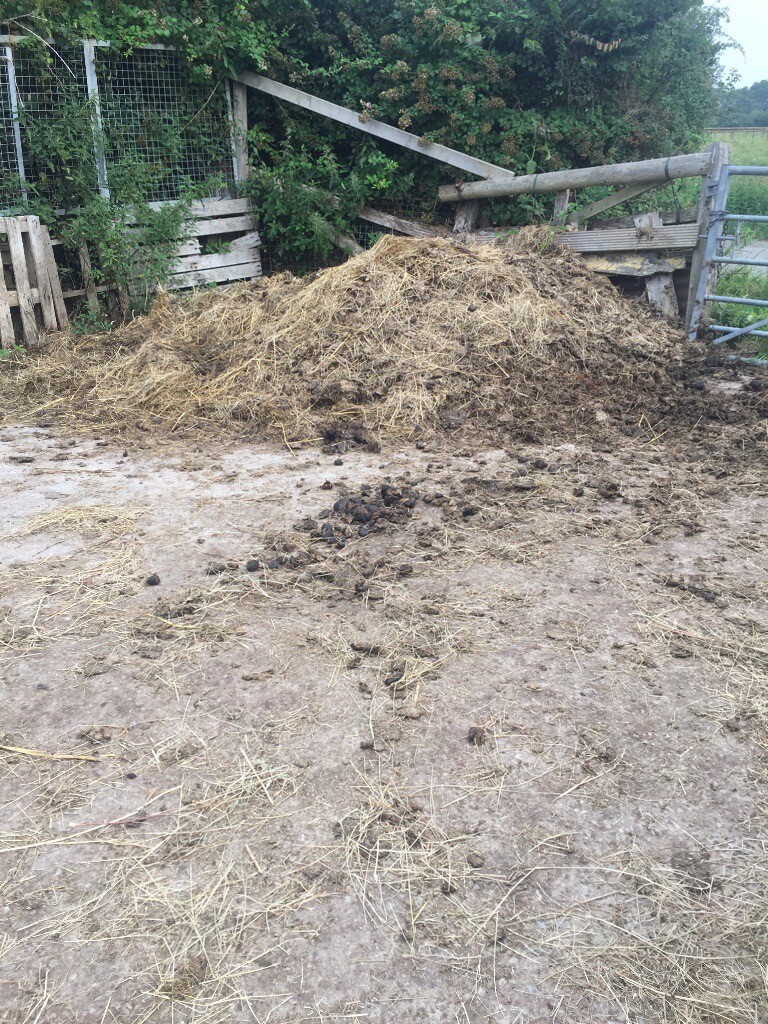 FREE HORSE MANURE in Clevedon, Somerset Gumtree