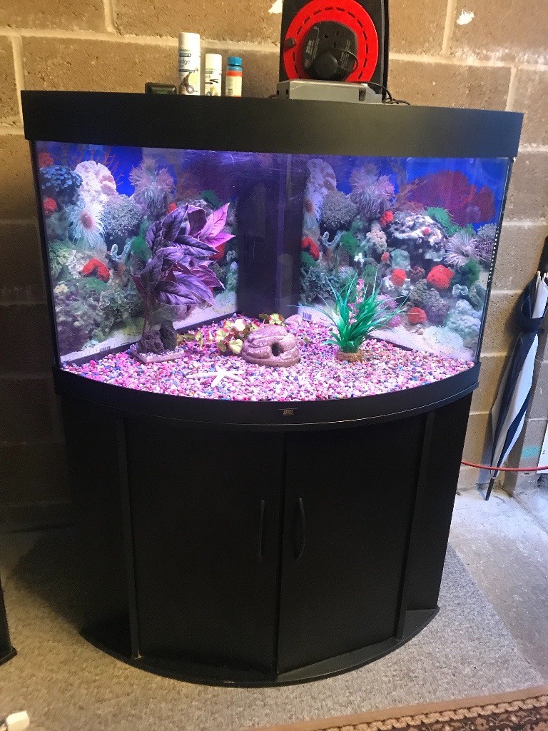 190l corner Juwel fish tank full st up with stand light heater filter