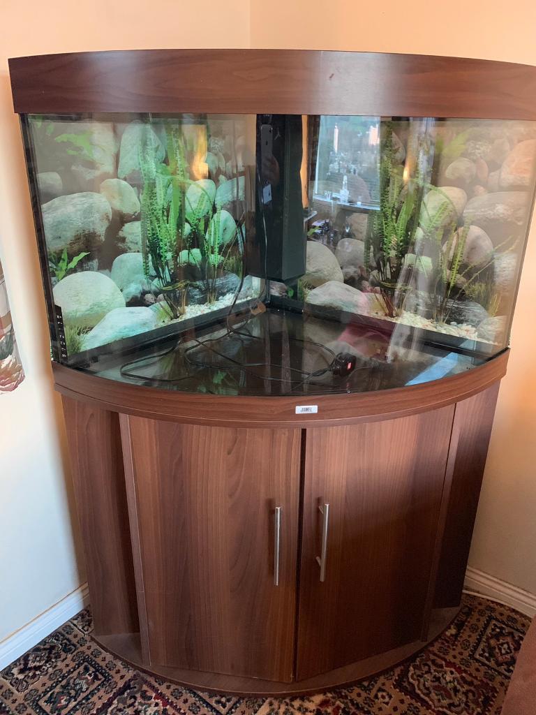 Juwel 190 corner aquarium in Dundonald, Belfast Gumtree
