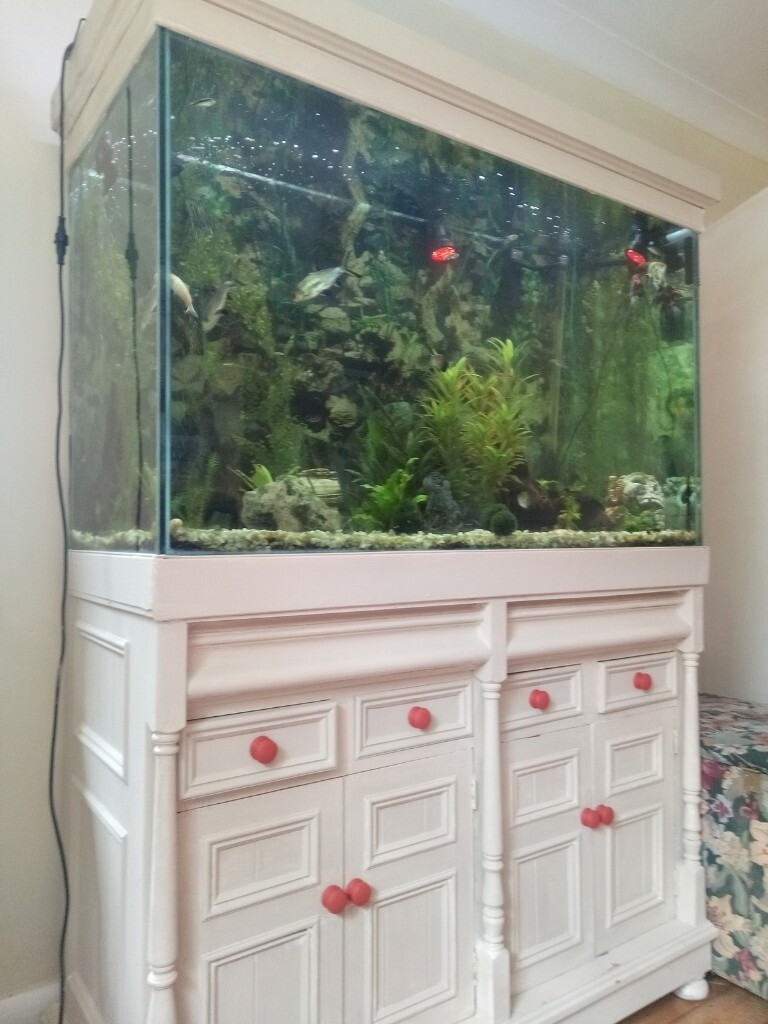 Fish Tanks For Sale Gumtree