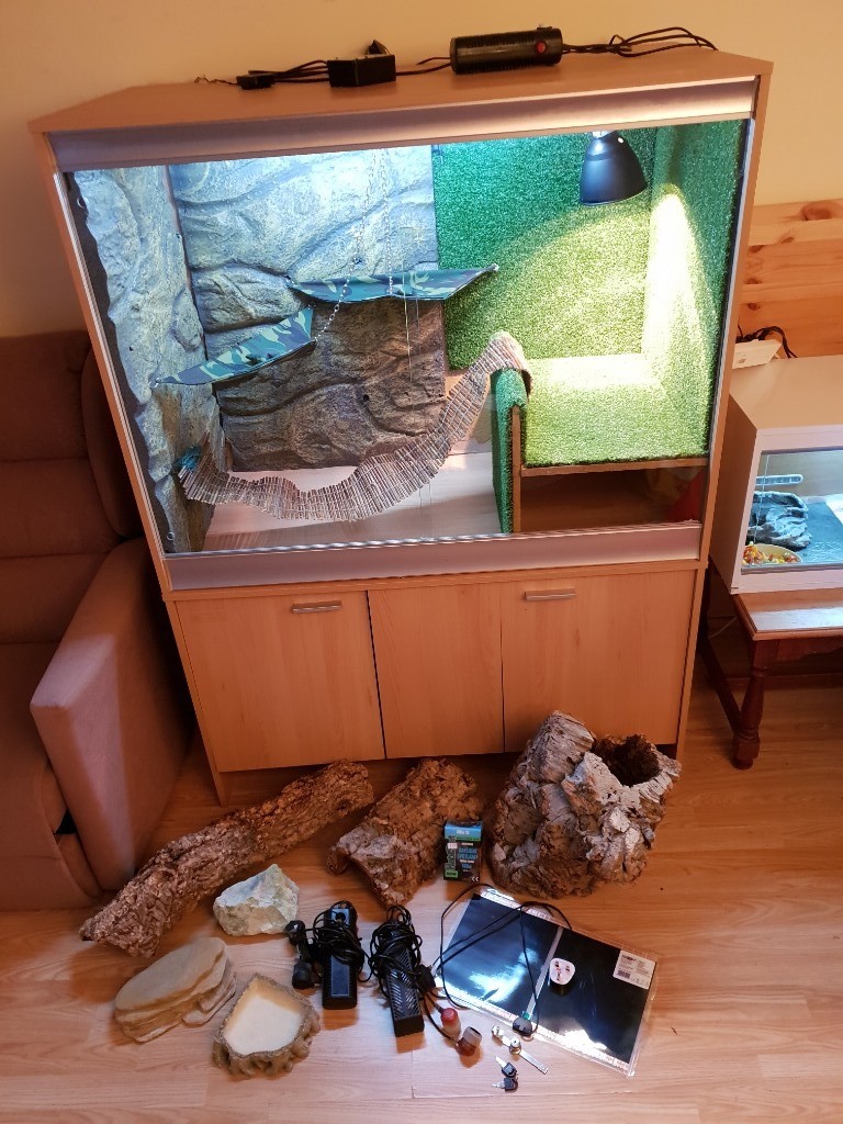 Very Large Vivarium With Extras For Sale in Christchurch, Dorset