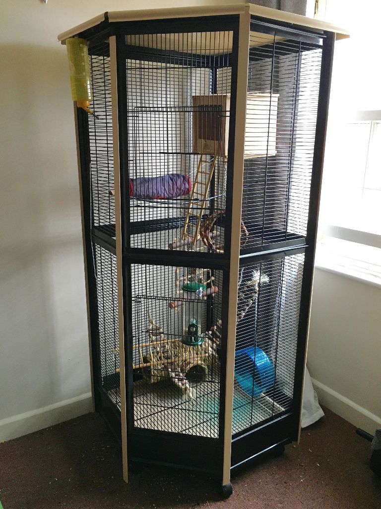 Sugar Glider / LITTLE FRIENDS Tall All Metal Corner Aviary Cage in