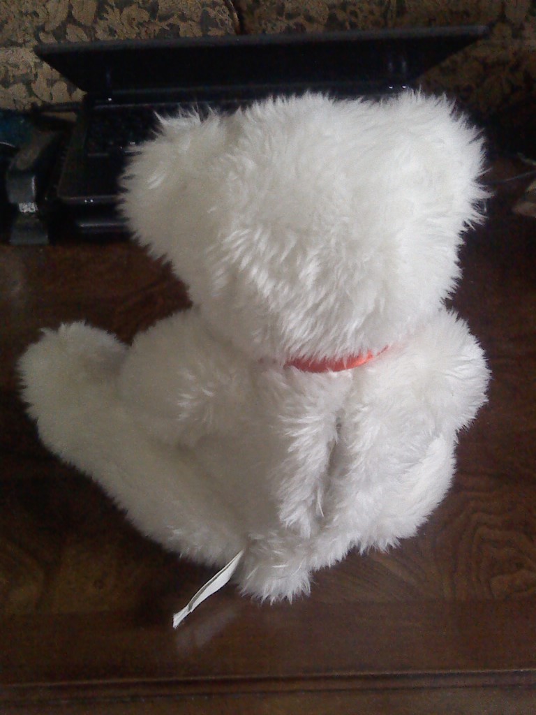 Macy's White Teddy Bear 9 1/2