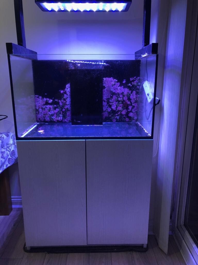 Red Sea Reefer 250 Black (90cm) Marine Reef Tank Aquarium in