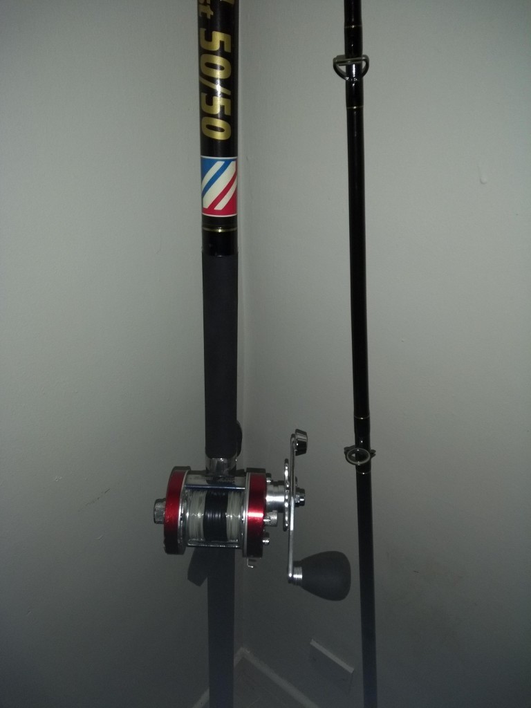 Zziplez beachcasting fishing rod, sea/match 50/50 Dreamcast, good