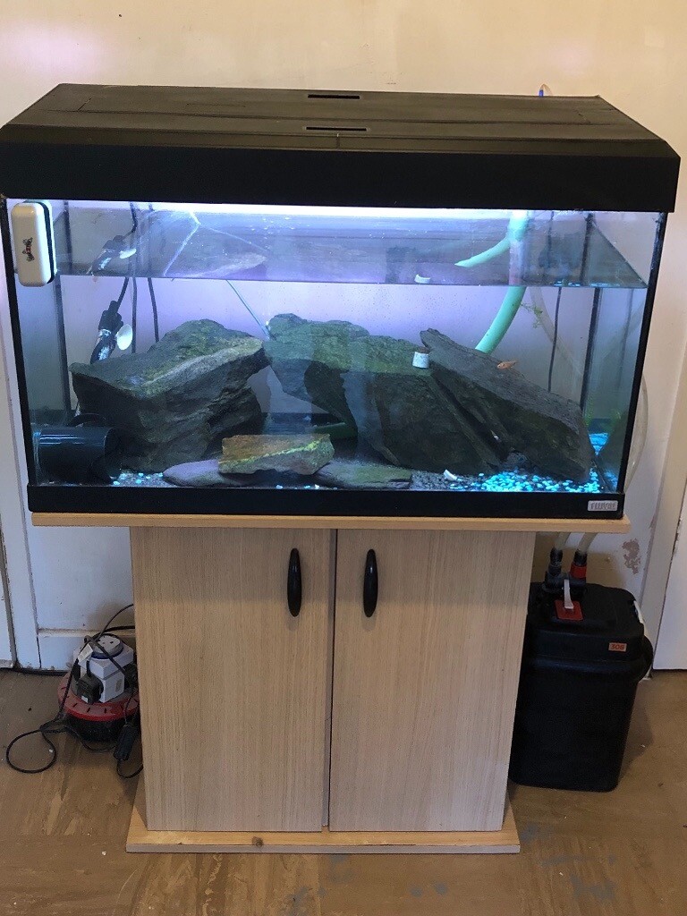 140 litre fish tank with external filter in West Derby, Merseyside