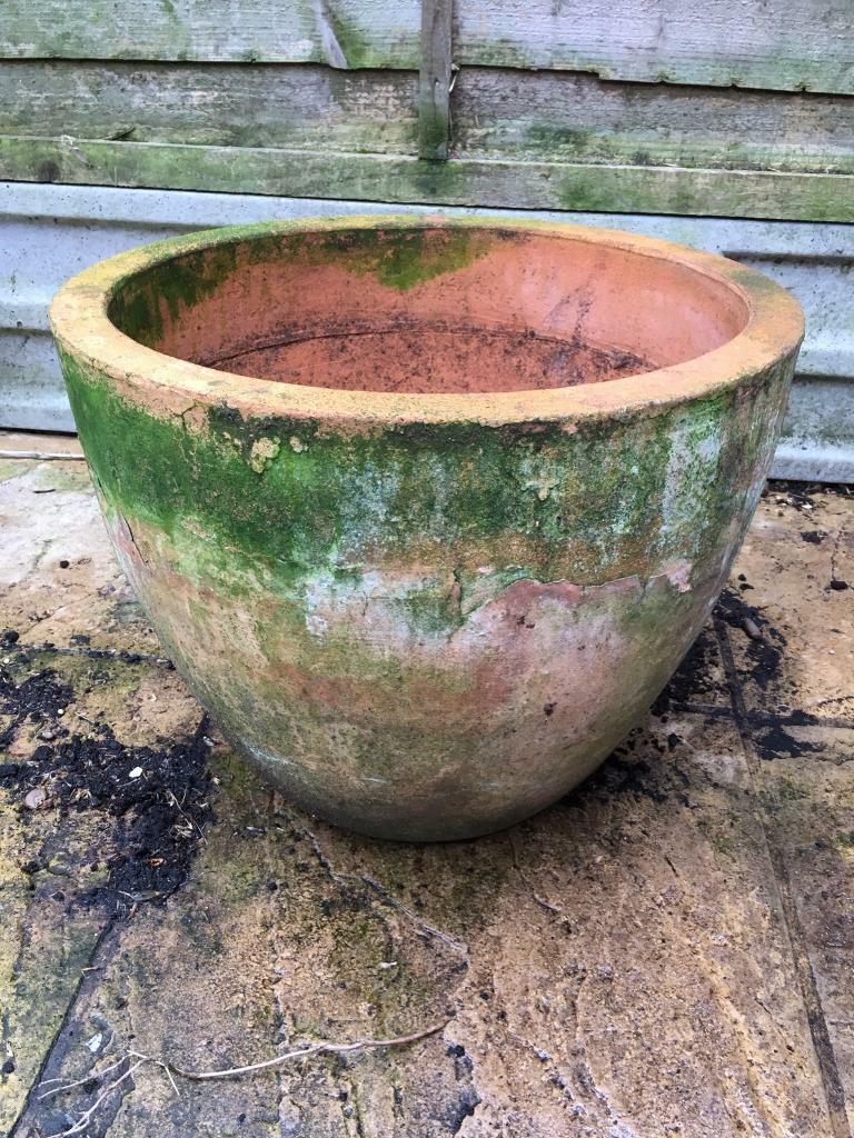 Large Terracotta  Plant Pot  in Hackney London Gumtree