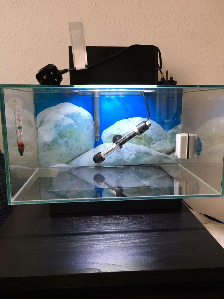 2 fish tanks in Brentry, Bristol Gumtree