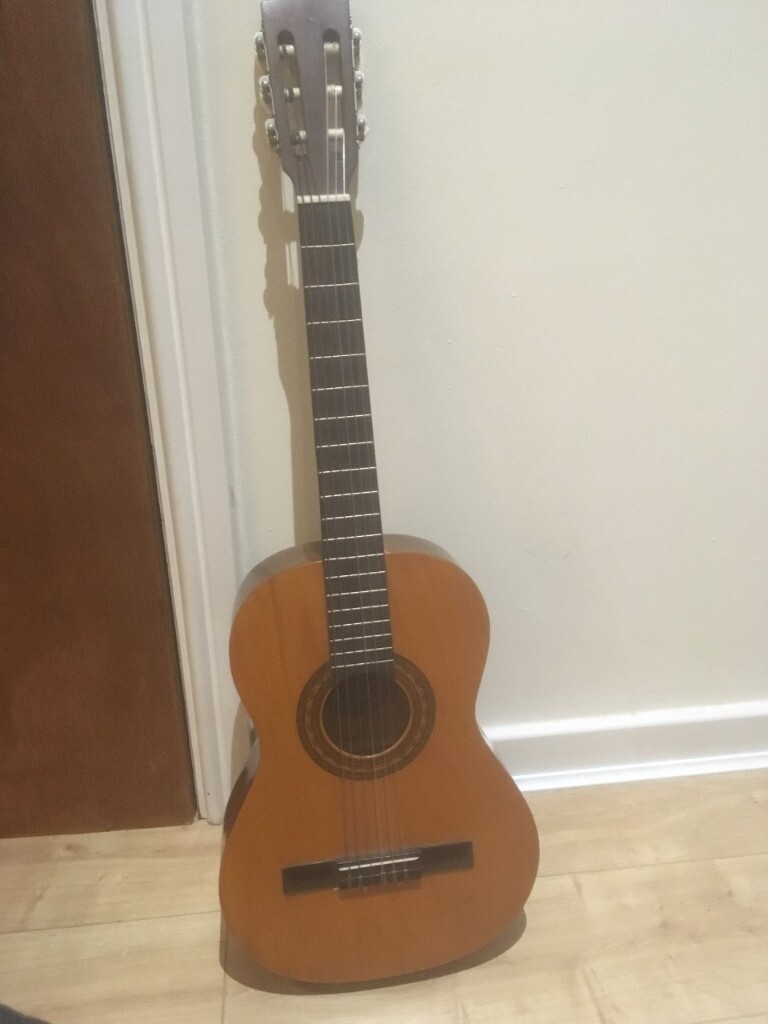 Encore Acoustic Guitar in Newcastle, Tyne and Wear Gumtree