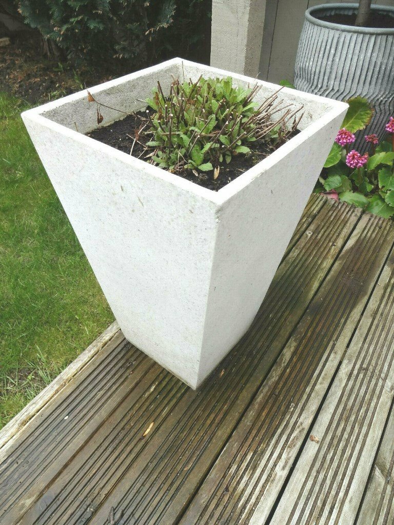 Tall White Garden Planter Plant Pot With Salvia Plant in Crook