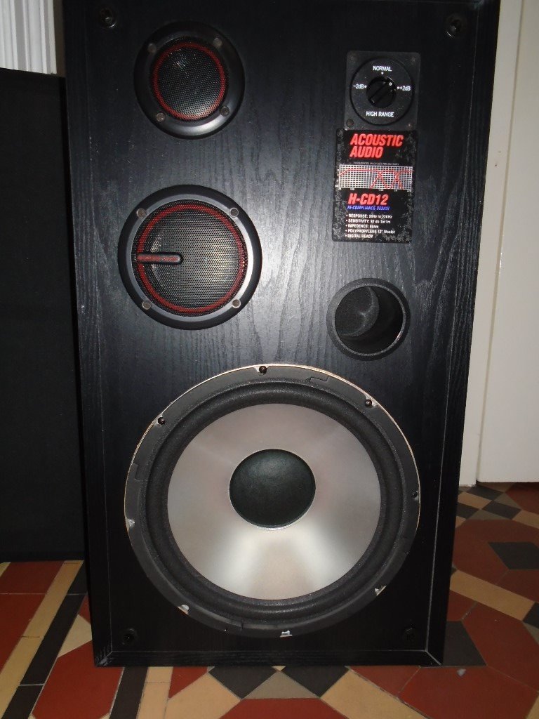 PAIR ACOUSTIC AUDIO HCD12 SPEAKERS in Bournemouth, Dorset Gumtree