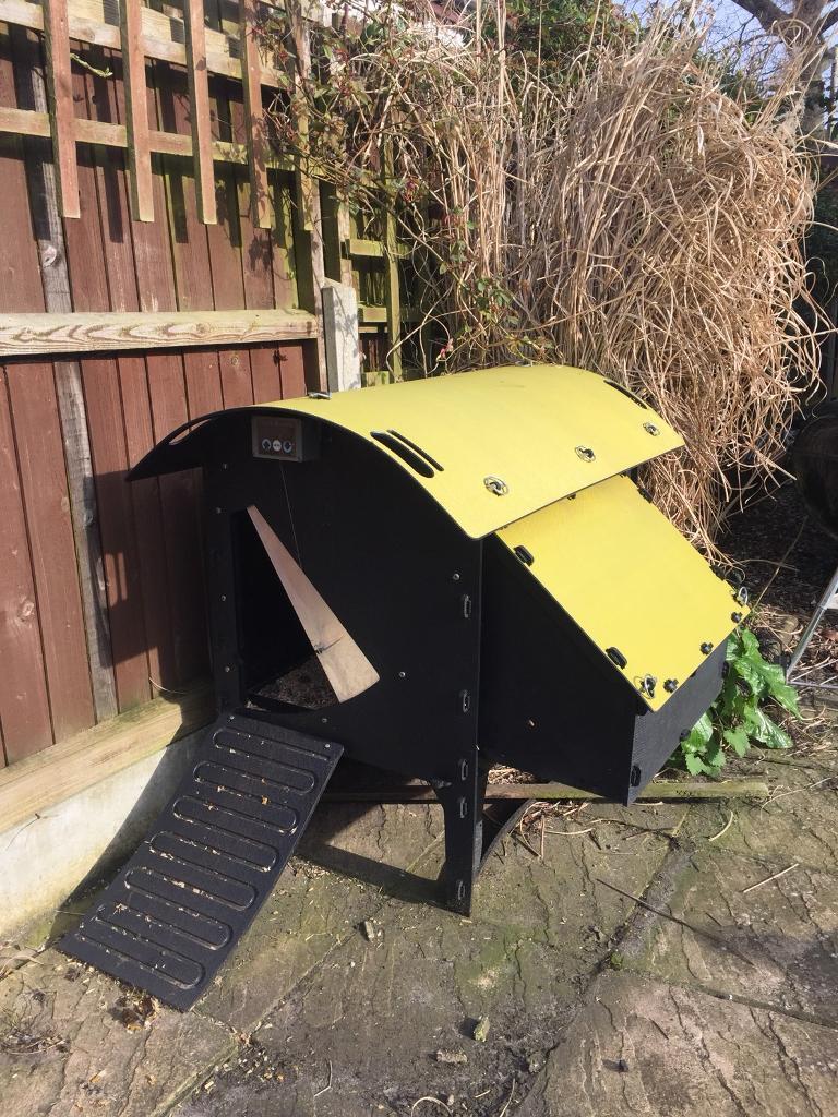 Green Frog Plastic Chicken Coop House With 3 Chickens Blue Egg Layers Better Than Omlet Eglu In Christchurch Dorset Gumtree