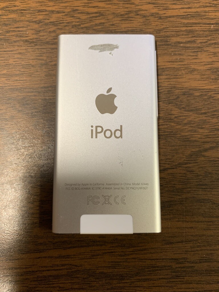 Apple iPod nano 7th Generation Silver (16 GB) Bundle