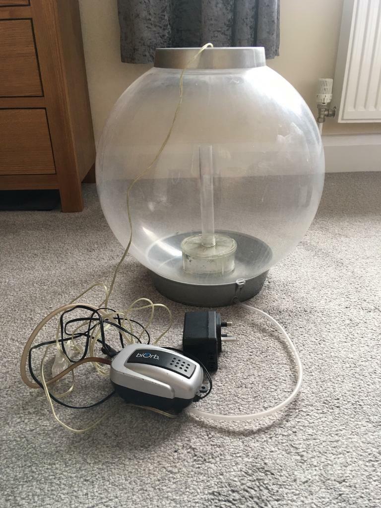 Biorb fish tank 60 litres in Lowestoft, Suffolk Gumtree