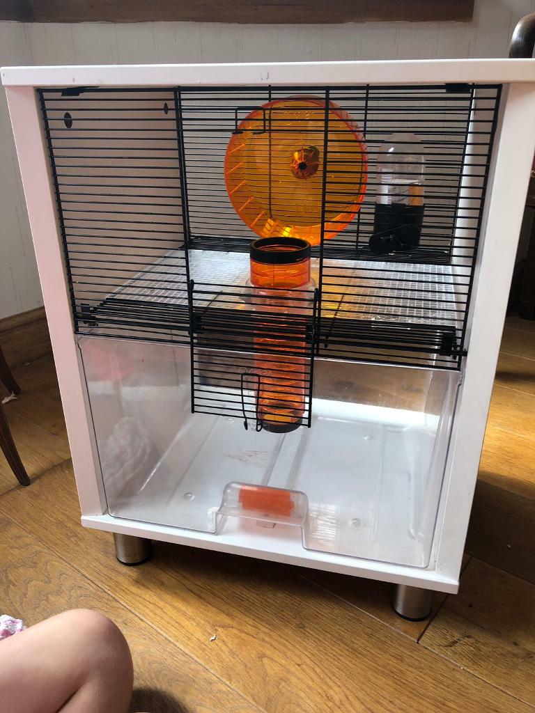 Qute. Omlet Hamster cage. in Stenhousemuir, Falkirk Gumtree