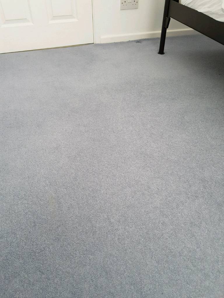 Wool carpet with underlay | in Worksop, Nottinghamshire | Gumtree